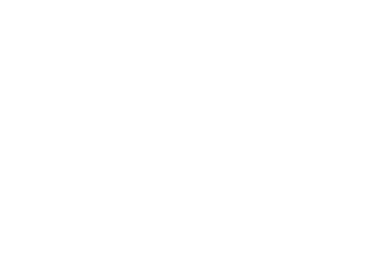 הלוגו של איזיסמרט מערכת הנהלת חשבונות ממוחשבת